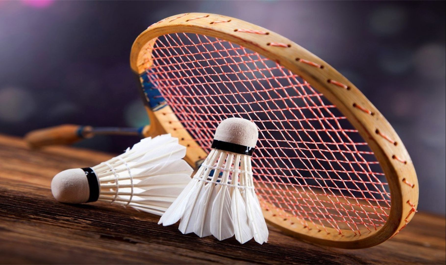 在与独行侠 在与独行侠