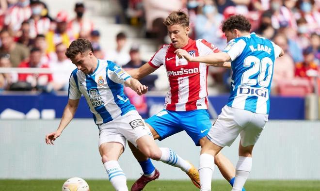 穆德里克的 穆德里克的